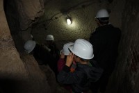 IMG 3648 web
